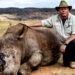 Rhino Horns Injected with Radioactive Material to Combat Poaching in South Africa
