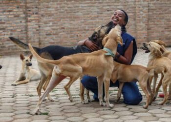 Rwanda: Dog Owners Ordered To Register Pets With Local Authorities