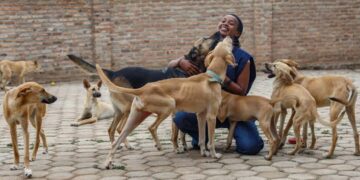 Rwanda: Dog Owners Ordered To Register Pets With Local Authorities
