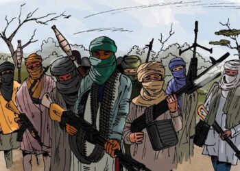 1,000+ Insurgent Groups Active In Africa, Former UN Rep Warns