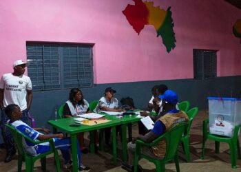 Guinea: Vote Counting Begins In Referendum Boycotted By Opposition