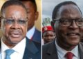 Malawi: Campaigns End Ahead Of Tuesday Presidential Polls