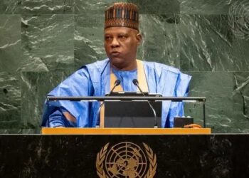 UNGA 80: Nigeria Pushes For Debt Relief, Permanent Seat At UNSC
