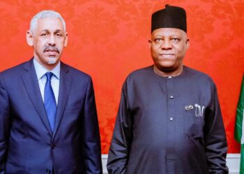 At UNGA80, Nigeria Secures AfDB’s Funding Commitment For Agriculture