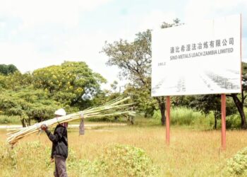 Zambia: Farmers Sue Chinese Firm Over Environmental Pollution