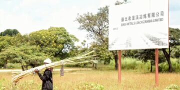 Zambia: Farmers Sue Chinese Firm Over Environmental Pollution