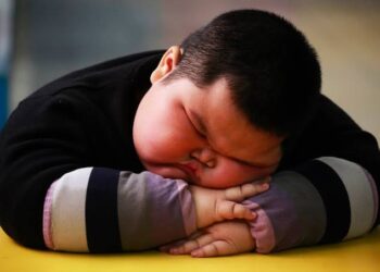 Junk Food: One In 10 Kids Obese Worldwide – UN Report 