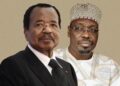 Cameroon: Opposition Rejects Official Results That Put Biya Ahead