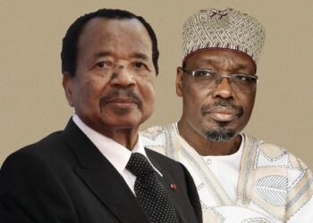 Cameroon: Opposition Rejects Official Results That Put Biya Ahead