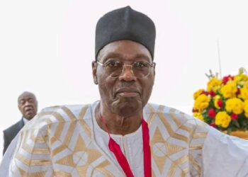 Cameroon: Two Opposition Figures Who Disputed Polls Detained
