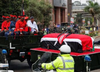 Kenya: Over A Dozen Injured In Stampede At Odinga’s State Funeral