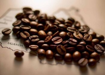Uganda And Ethiopia Are Challenging India’s Coffee Dominance