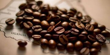 Uganda And Ethiopia Are Challenging India’s Coffee Dominance