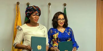 Nigerian Govt Decries Rising Extrajudicial Killings Of Its Citizens In South Africa