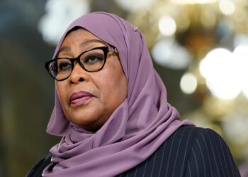 Tanzania: President Hassan Inaugurates Panel To Investigate Post-Election Killings