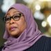 Tanzania: President Hassan Inaugurates Panel To Investigate Post-Election Killings