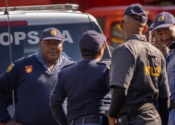 South Africa: 3,500 Additional Policemen Deployed Over Planned Protest At G20 Summit