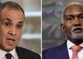 Egypt, Nigeria Move To Deepen Bilateral Ties