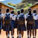 Nigeria: Terrorists Abduct 25 Girls, Kill Vice Principal In School Raid