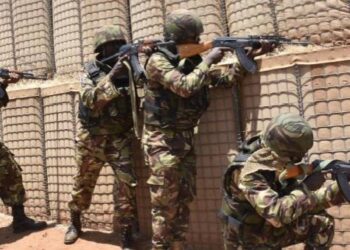 Kenya: Parliament Accuses British Soldiers Of Decades Of Sexual Assault, Killings