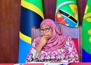 US Reviews Relations With Tanzania Over Alleged Religious Repression, Violence