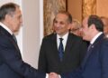 Egypt: President el-Sissi Urges Greater Role For Africa At UN Security Council