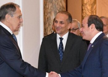 Egypt: President el-Sissi Urges Greater Role For Africa At UN Security Council