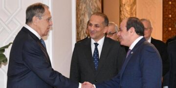 Egypt: President el-Sissi Urges Greater Role For Africa At UN Security Council