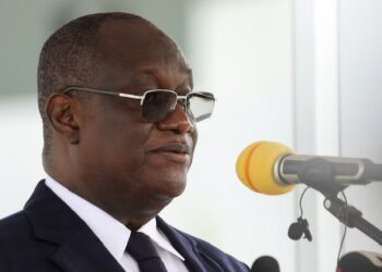 Ivory Coast: Ouattara Reshuffles Cabinet, Appoints Brother Deputy PM