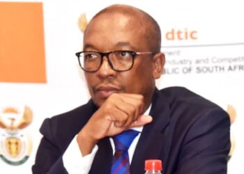 South Africa’s Trade Minister To Seek Duty-Free Export Access During China Visit