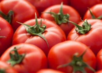 Ghanaian Tomato Traders Caught In Burkina Faso Terror Assault