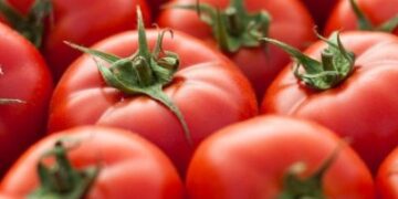 Ghanaian Tomato Traders Caught In Burkina Faso Terror Assault