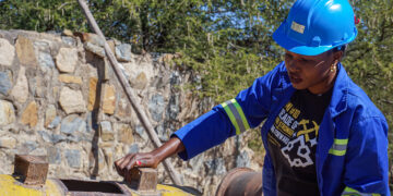 Zimbabwe’s Local Content Drive Is Saving Govt US$500m Annually