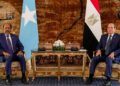Somalia Discusses Bilateral Relations, Security Cooperation With Egypt