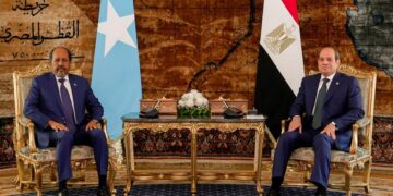 Somalia Discusses Bilateral Relations, Security Cooperation With Egypt