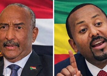 Sudan Accuses Ethiopia Of Launching Drone Attacks