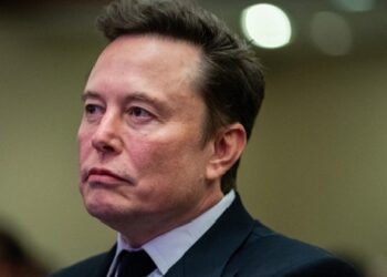 Musk Offers To Offset Salaries Of US Airport Security Officials