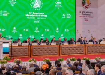 Taiwan Cites Visa Errors For Absence At Cameroon’s WTO Summit