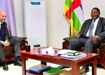 French Foreign Minister Visits CAR To Renew Ties