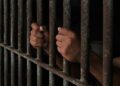 Zimbabwe Frees Nearly 4,000 Inmates To Decongest Prisons