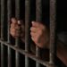 Zimbabwe Frees Nearly 4,000 Inmates To Decongest Prisons