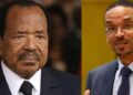 Cameroon: President Biya Appoints Son As Vice President