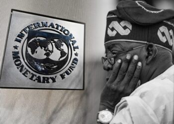 IMF Raises Concern Over Nigeria’s Growing Debt Burden Under Tinubu