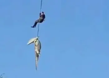 SA: Policeman Lowered Into Crocodile-Infested River To Recover Human Body