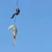 SA: Policeman Lowered Into Crocodile-Infested River To Recover Human Body