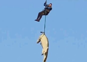 SA: Policeman Lowered Into Crocodile-Infested River To Recover Human Body