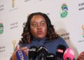 Xenophobia Straining South Africa’s International Image, Minister Decries