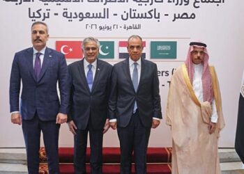 Egypt, Turkey, Pakistan, Saudi Arabia Foreign Ministers In Cairo To Discuss Regional Security