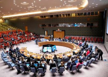 Trinidad And ​Tobago, Zimbabwe Elected Into UN Security Council