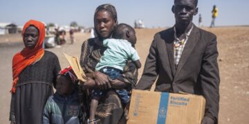 Egypt: South Sudan Moves To Tackle Arrests, Deportations Of Citizens